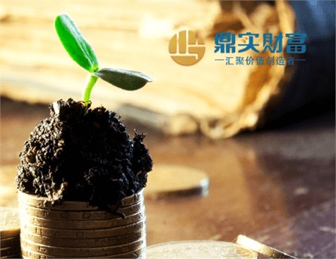 廣州市好投投資管理有限公司網(wǎng)站建設項目